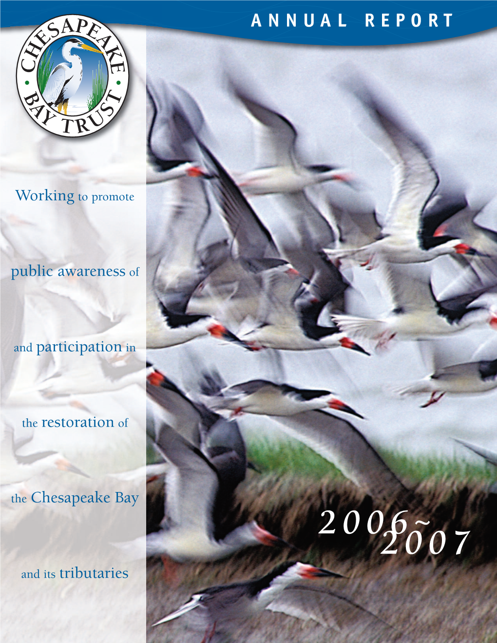 Annual Report 2006~ 2007