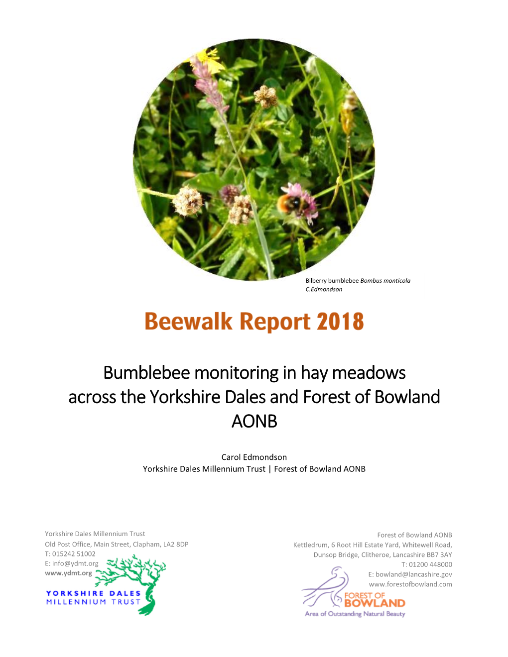 Bumblebee Monitoring in Hay Meadows Across the Yorkshire Dales and Forest of Bowland AONB