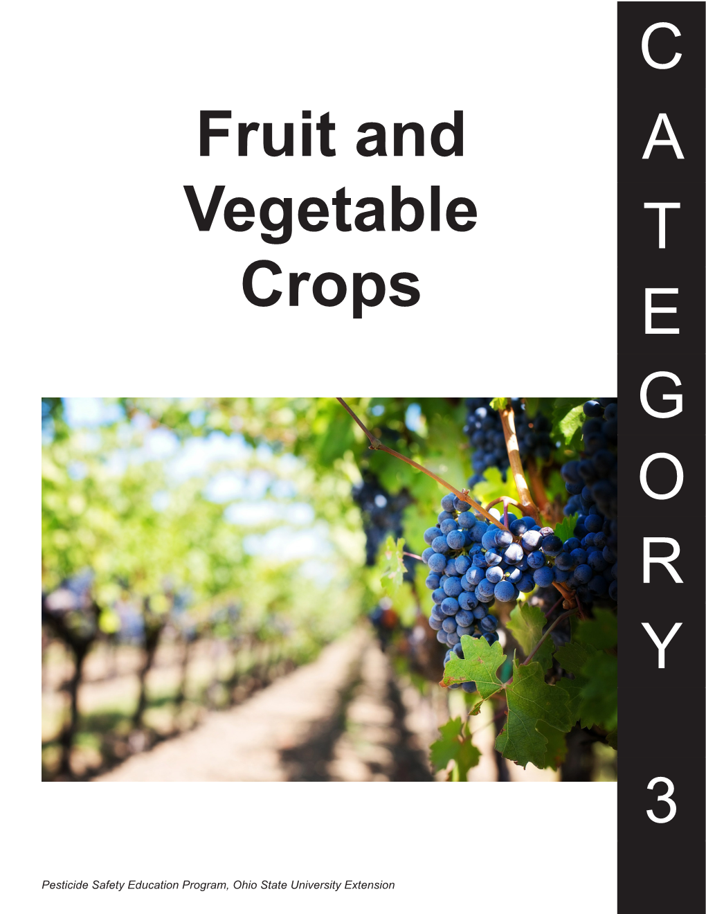 Fruit and Vegetable Crops C a T E G O R