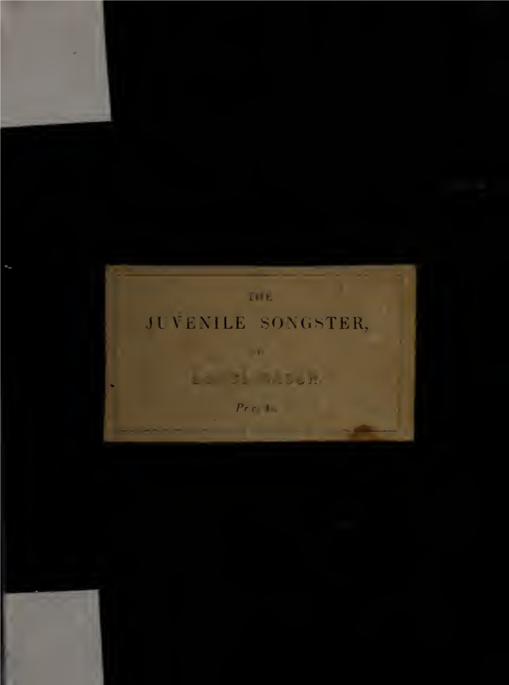 The Juvenile Songster : Consisting of Thirty-Five Cheerful and Moral Songs