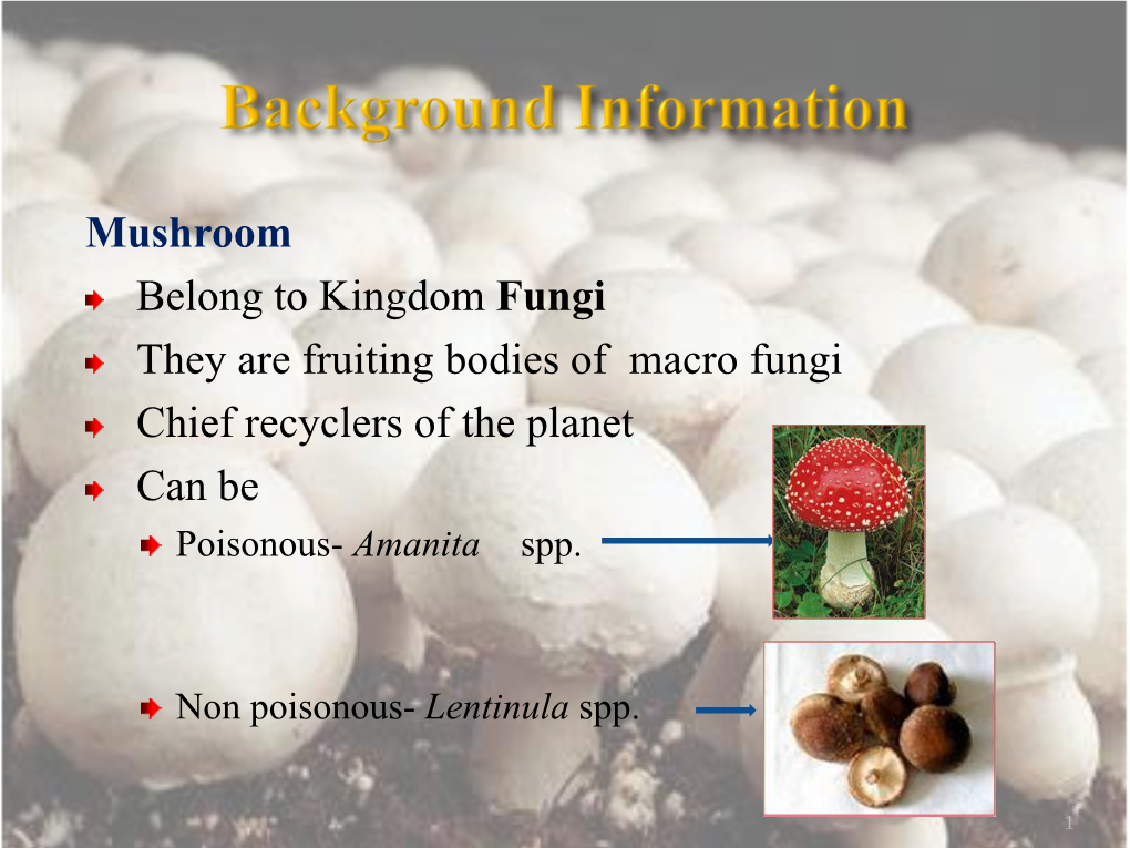 Mushroom Cultivation