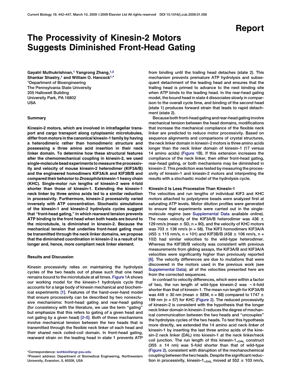 The Processivity of Kinesin-2 Motors Suggests Diminished Front-Head Gating