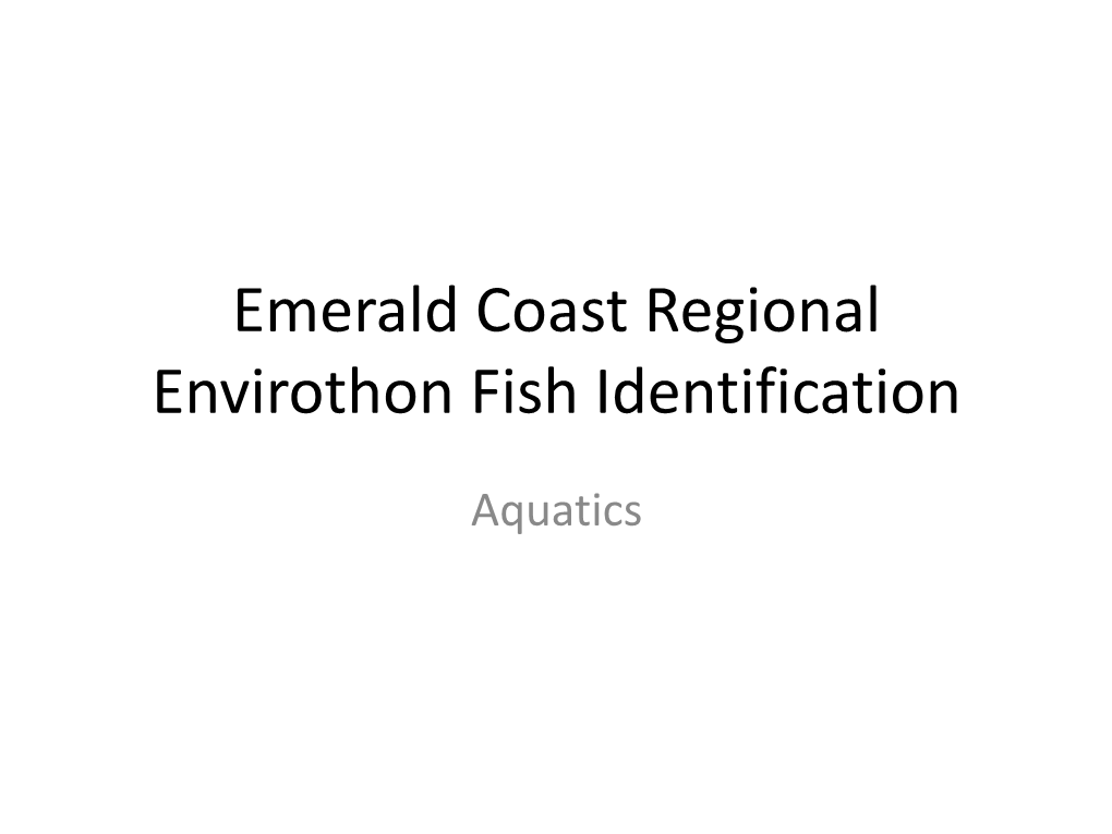 Emerald Coast Regional Envirothon Fish Identification