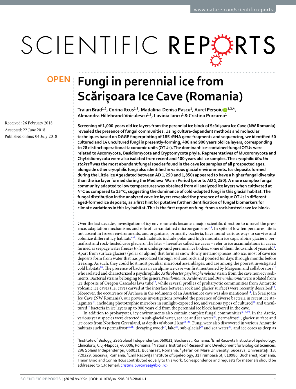 Fungi in Perennial Ice from Scărișoara Ice Cave
