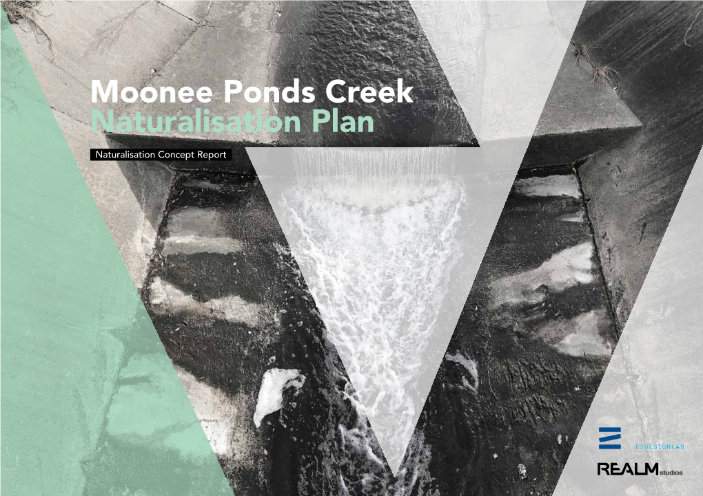 Moonee Ponds Creek Naturalisation Plan Naturalisation Concept Report Content