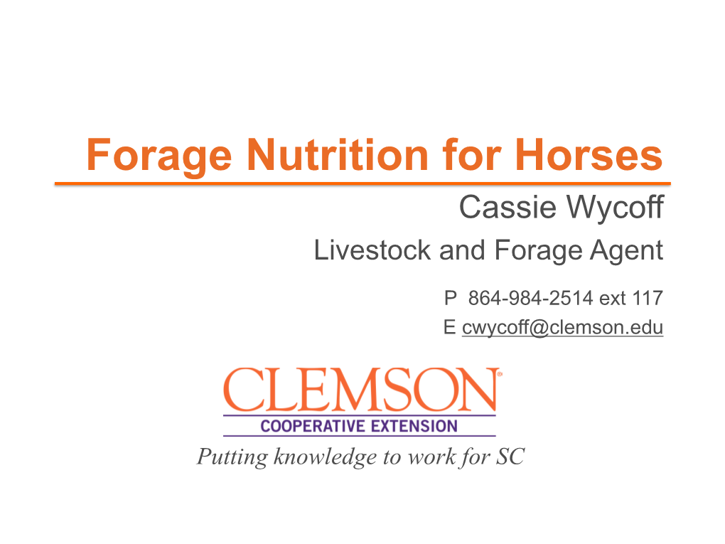 Feeding and Horse Care