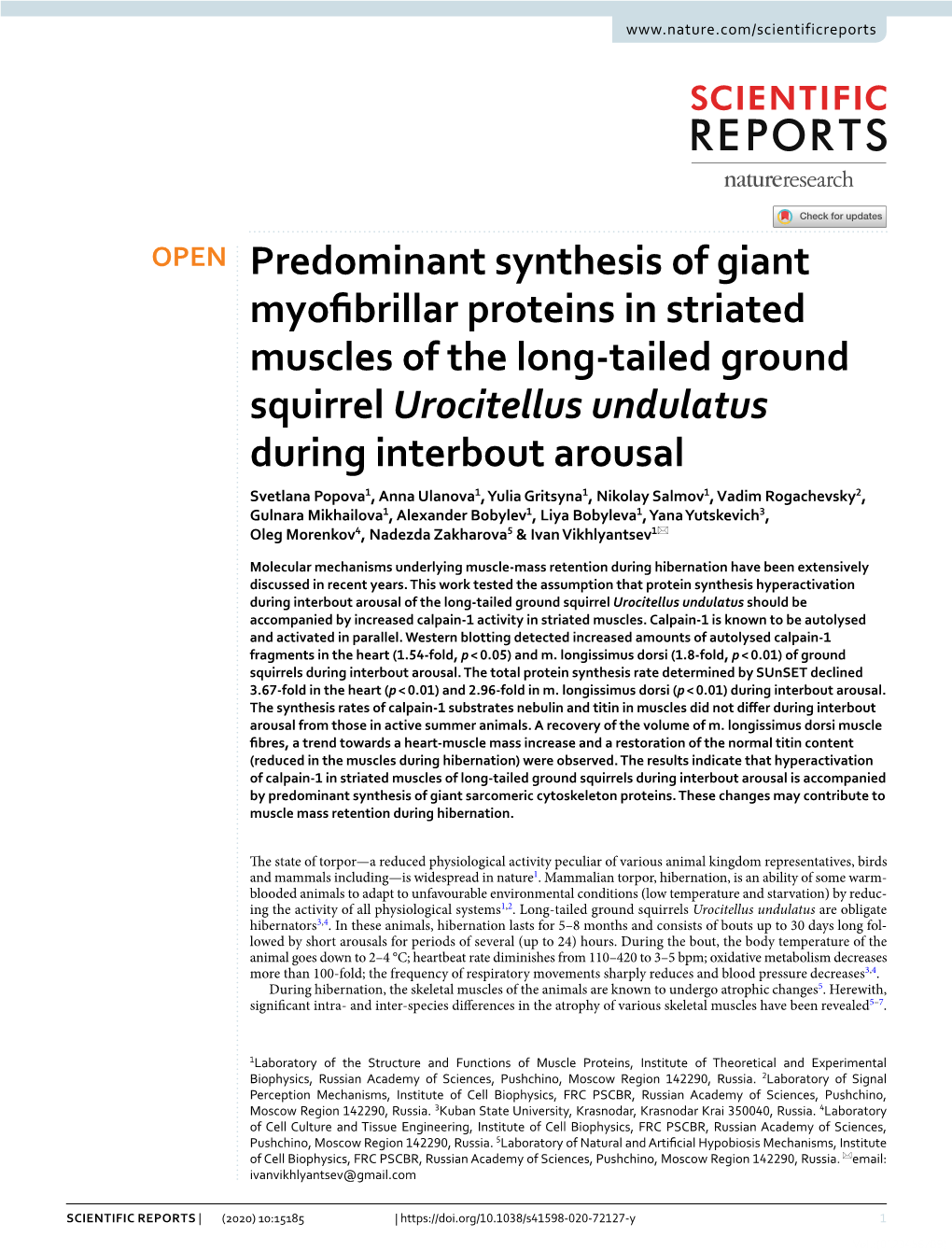 Predominant Synthesis of Giant Myofibrillar Proteins in Striated