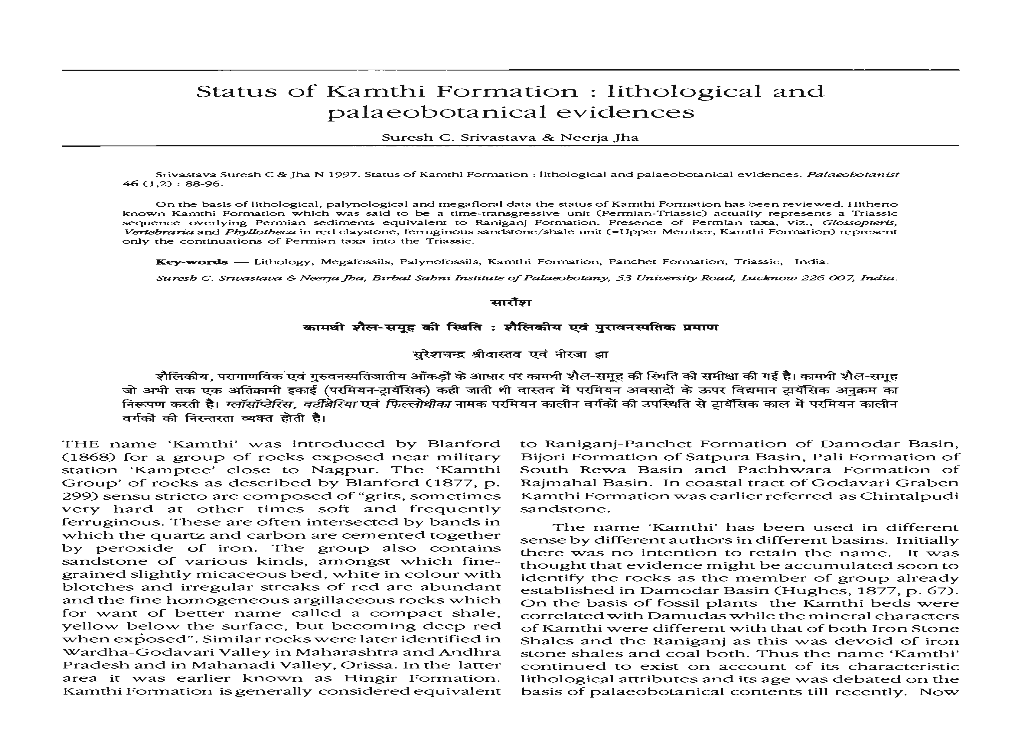 Status of Kamthi Formation : Lithological and Palaeobotanical Evidences