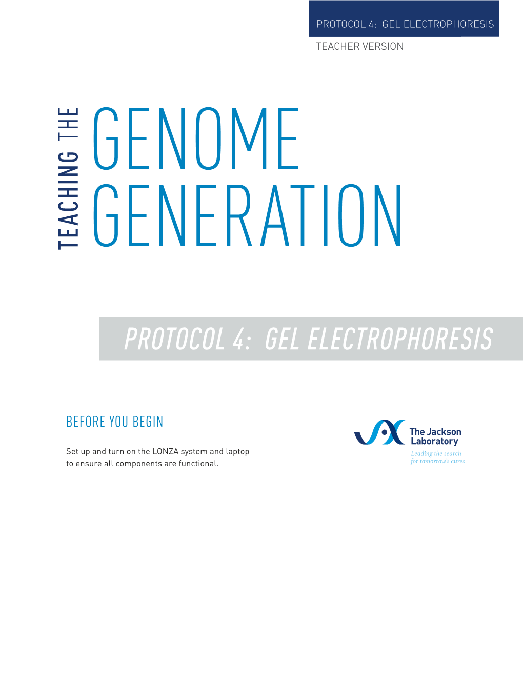 Protocol 4: Gel Electrophoresis