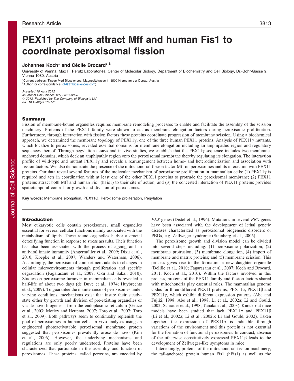 PEX11 Proteins Attract Mff and Human Fis1 to Coordinate Peroxisomal Fission