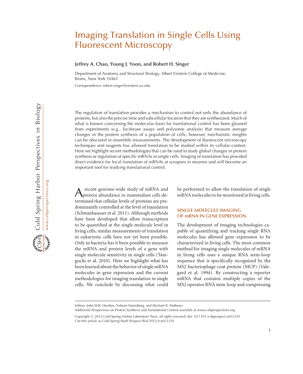 Imaging Translation in Single Cells Using Fluorescent Microscopy