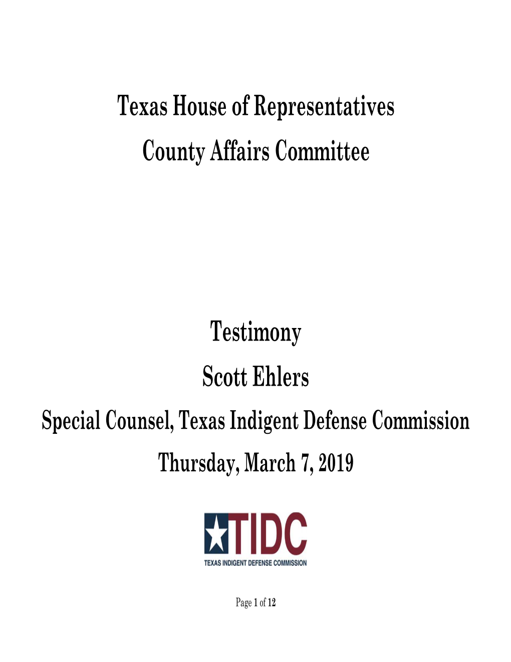 Texas House of Representatives County Affairs Committee