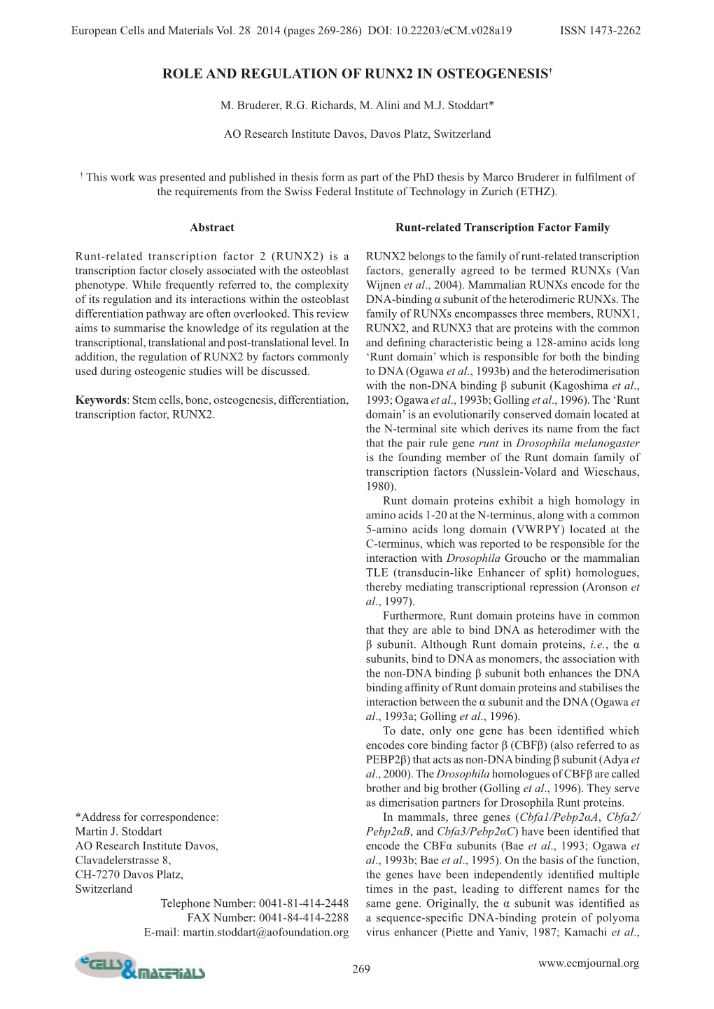 Role and Regulation of Runx2 in Osteogenesis†