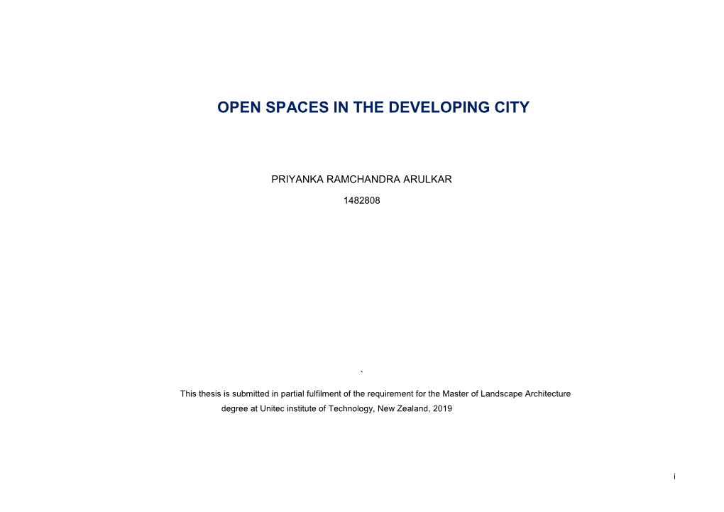 Open Spaces in the Developing City