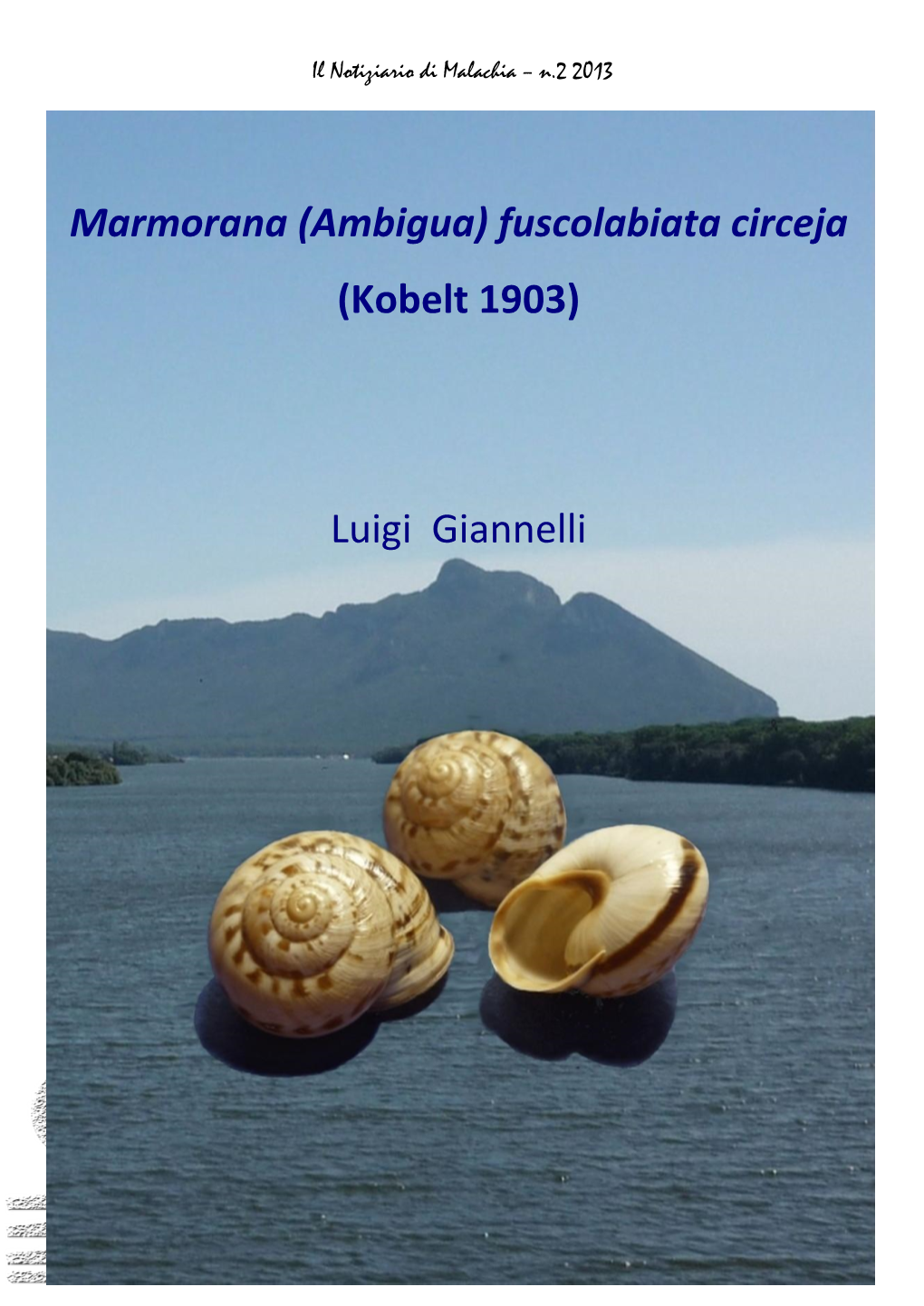 Marmorana (Ambigua) Fuscolabiata Circeja (Kobelt 1903) Luigi Giannelli