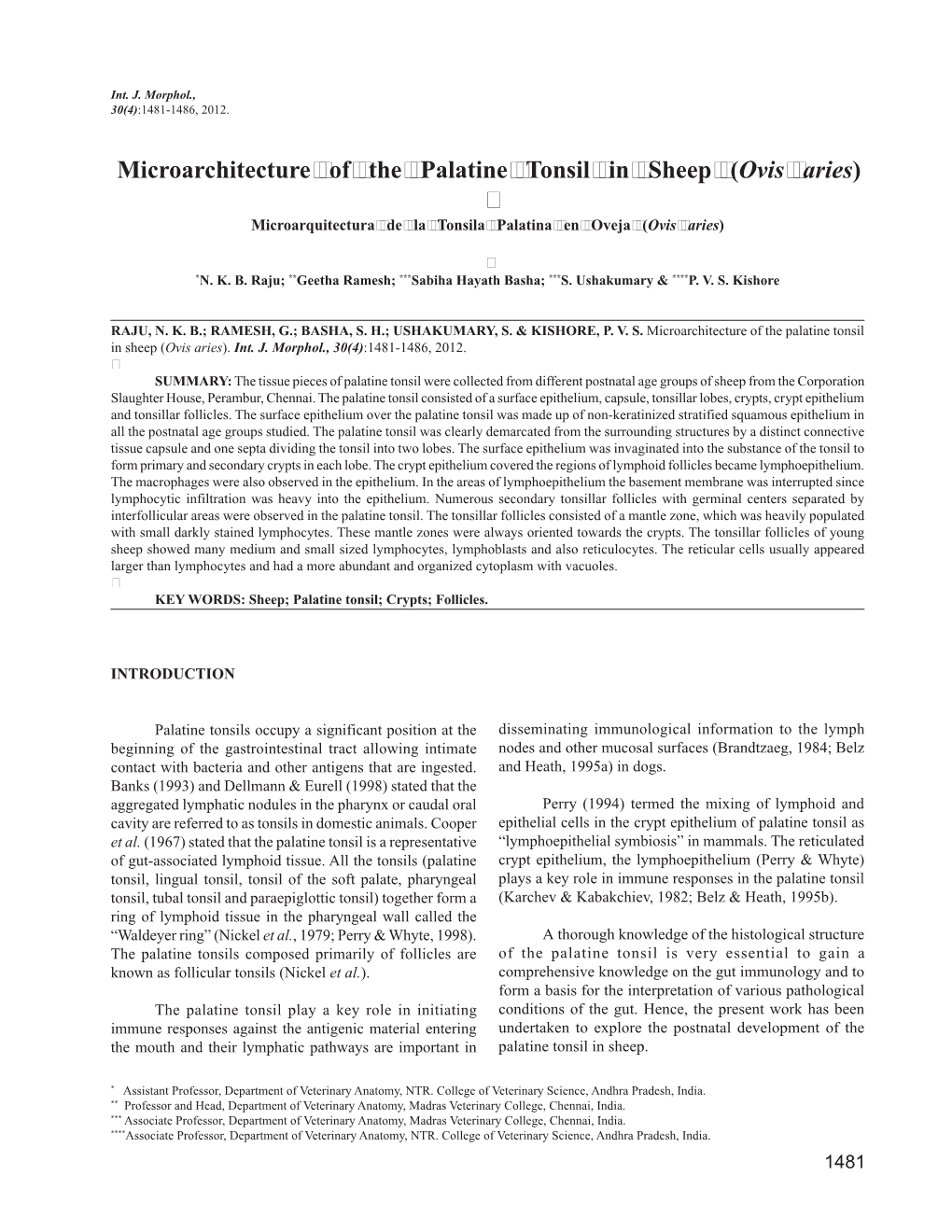 Microarchitecture of the Palatine Tonsil in Sheep (Ovis Aries)