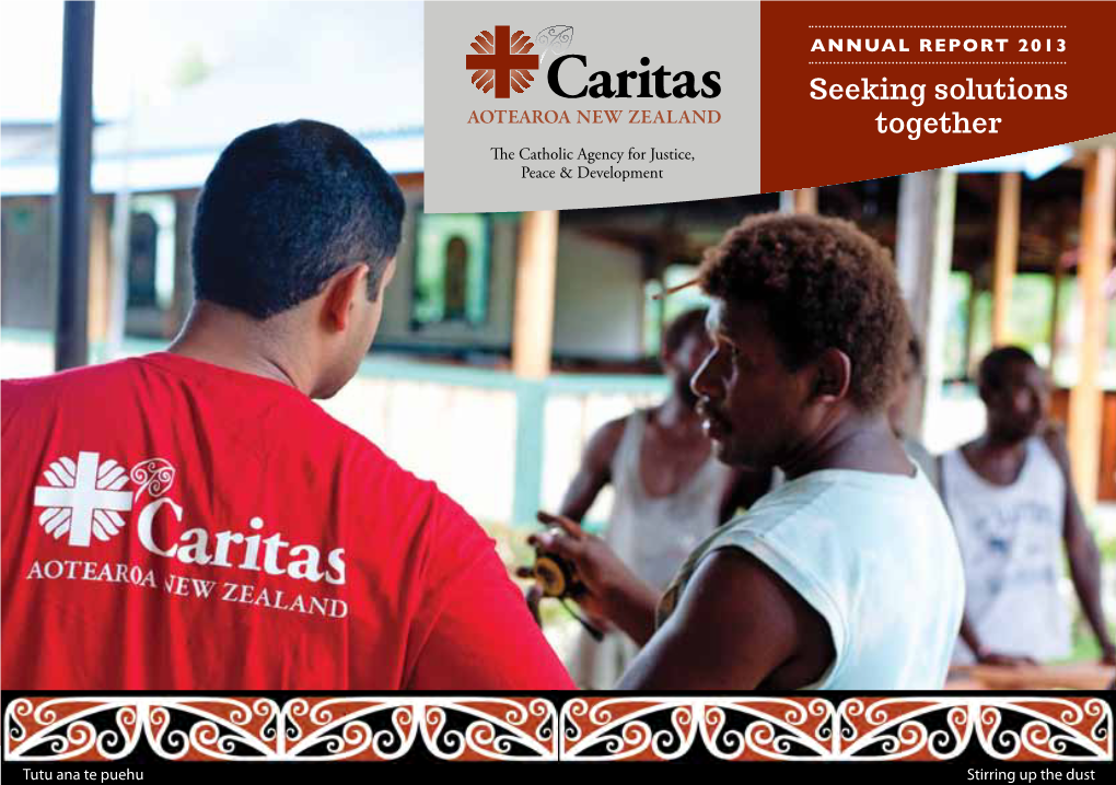 Download Caritas AR2013 Web.Pdf