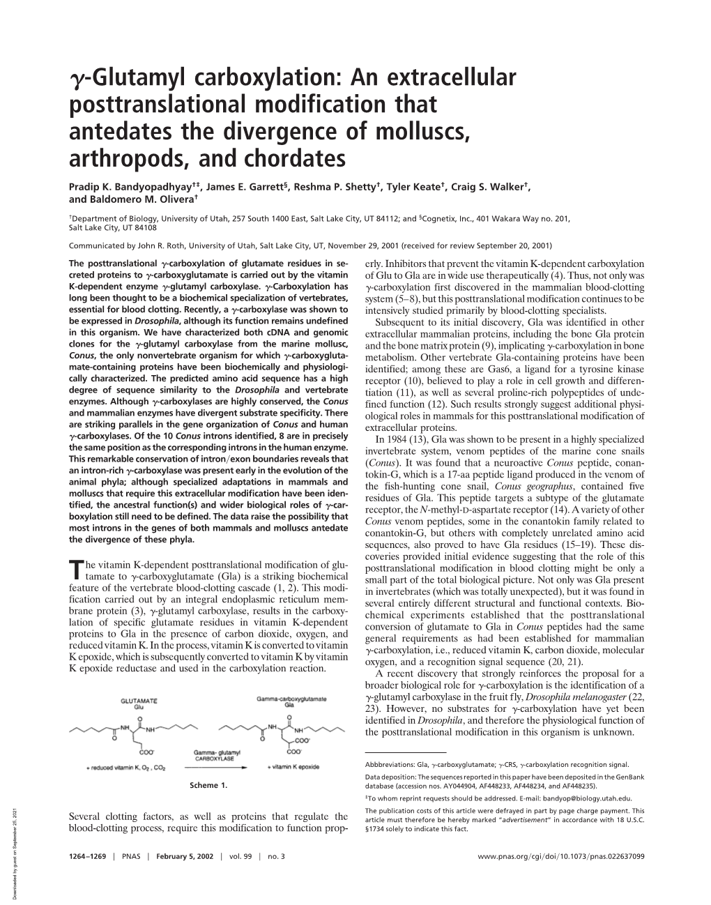 Glutamyl Carboxylation: an Extracellular Posttranslational Modification That Antedates the Divergence of Molluscs, Arthropods, and Chordates