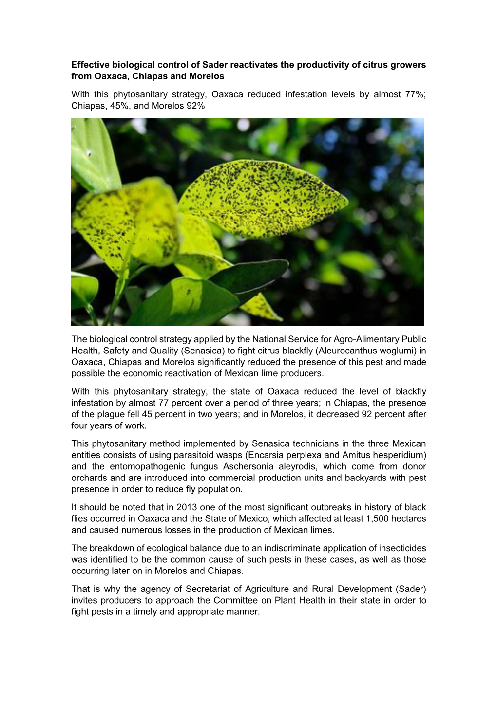 Effective Biological Control of Sader Reactivates the Productivity of Citrus