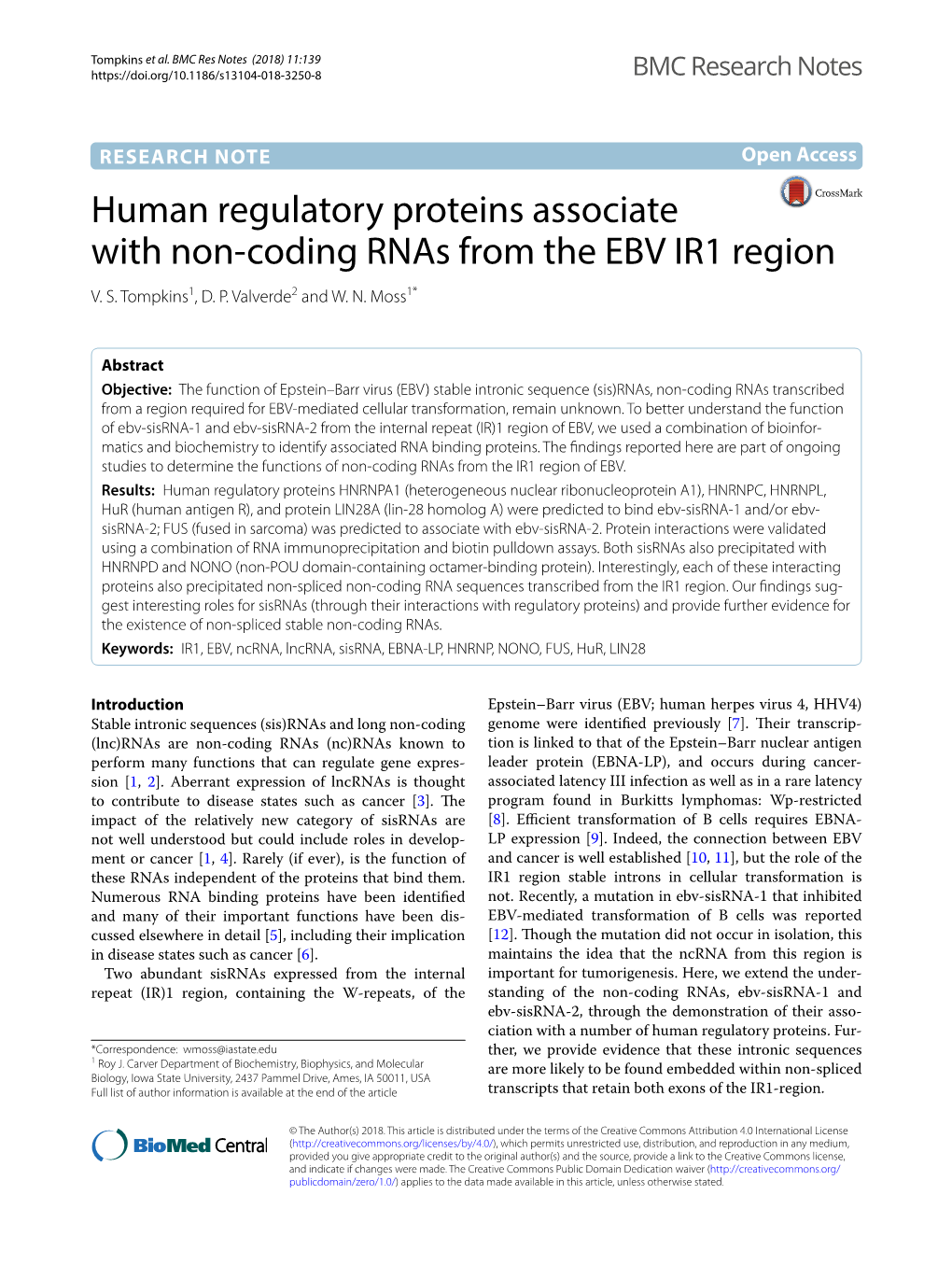 Human Regulatory Proteins Associate with Non-Coding Rnas from The