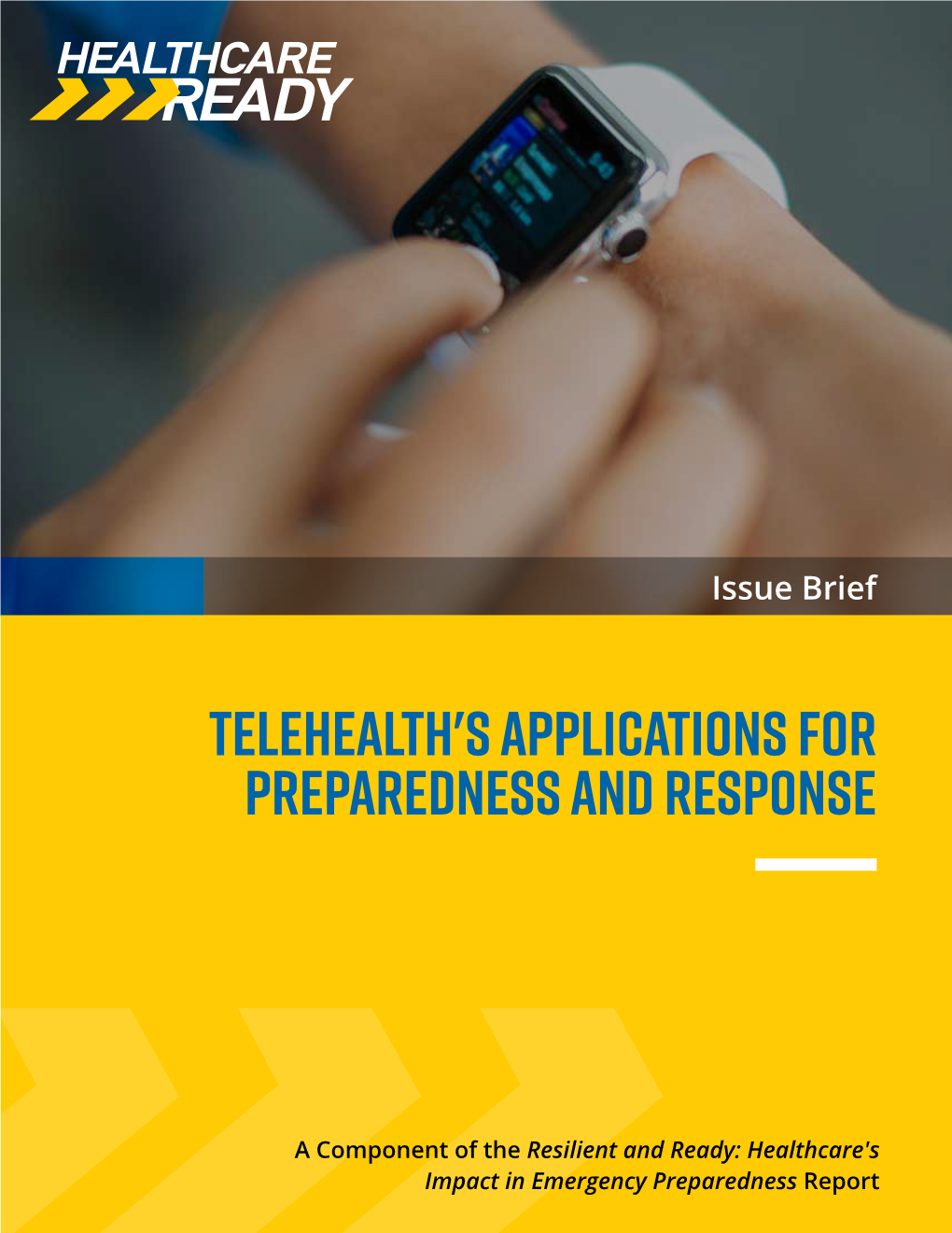 Telehealth's Applications for Preparedness and Response