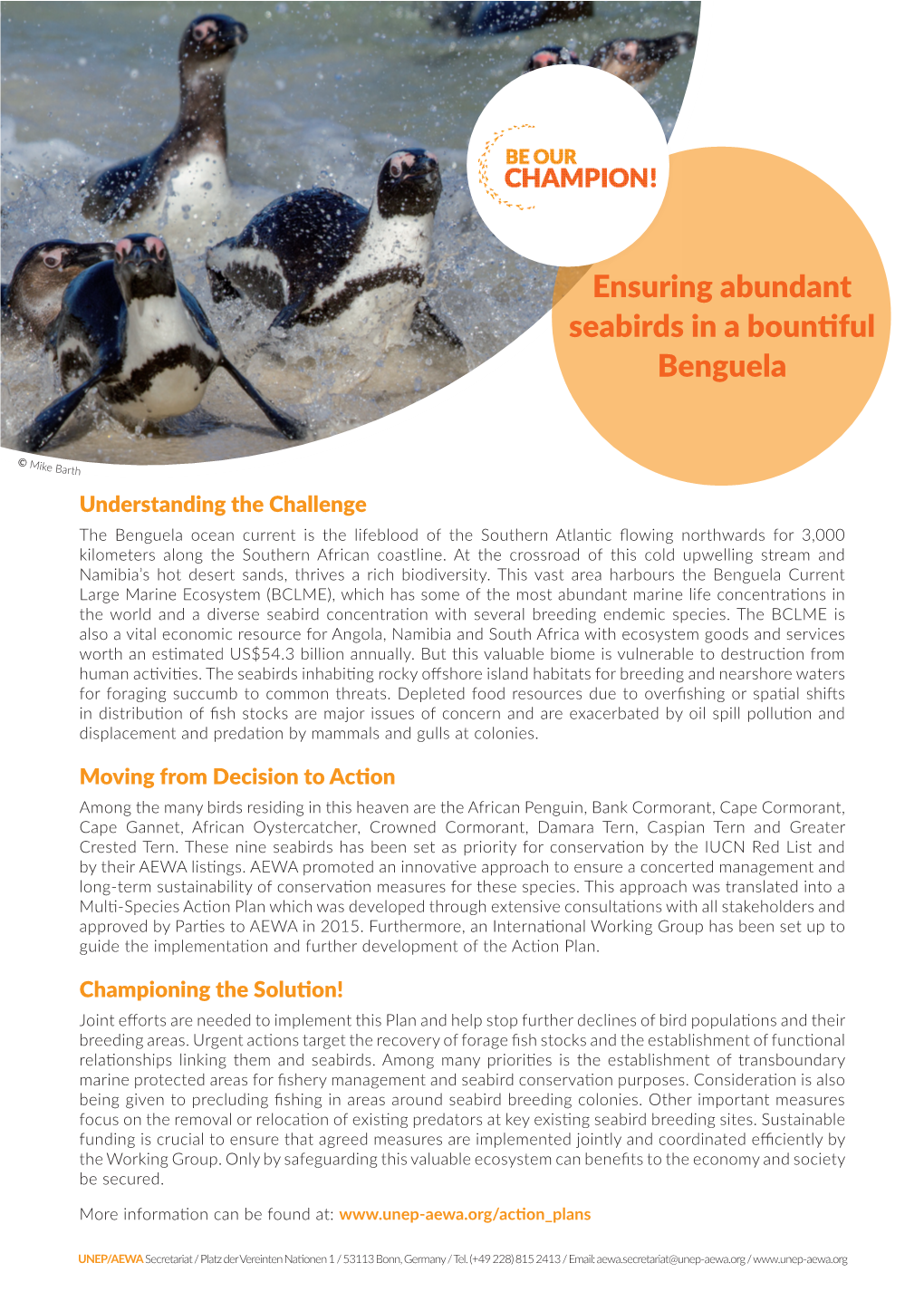 Ensuring Abundant Seabirds in a Bountiful Benguela