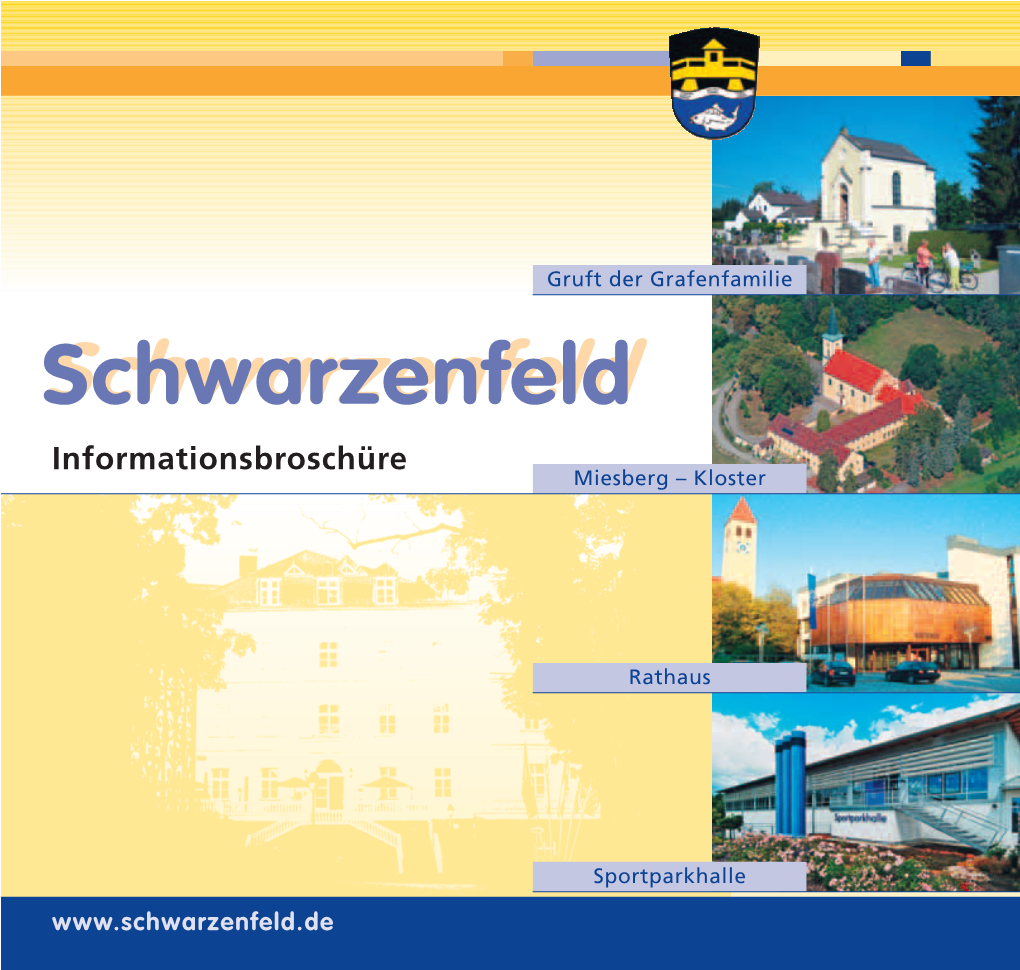 Schwarzenfeldschwarzenfeld Informationsbroschüre Miesberg – Kloster