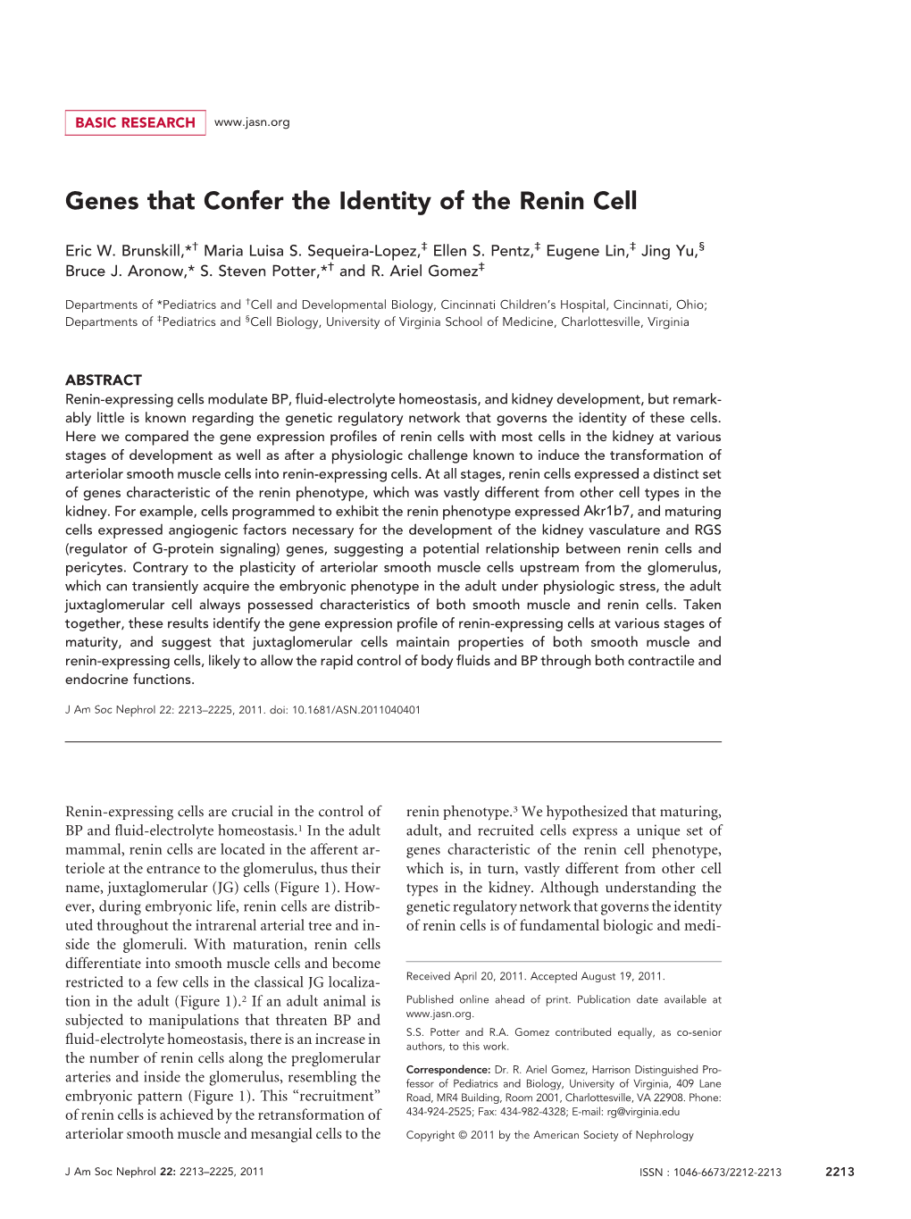 Genes That Confer the Identity of the Renin Cell