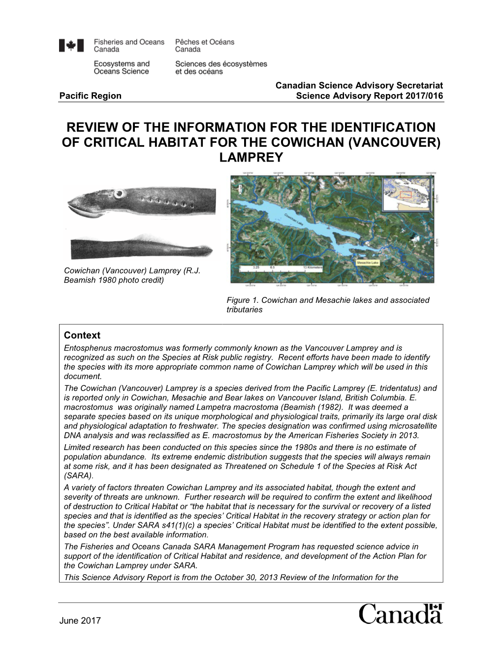 Review of the Information for the Identification of Critical Habitat for the Cowichan (Vancouver) Lamprey
