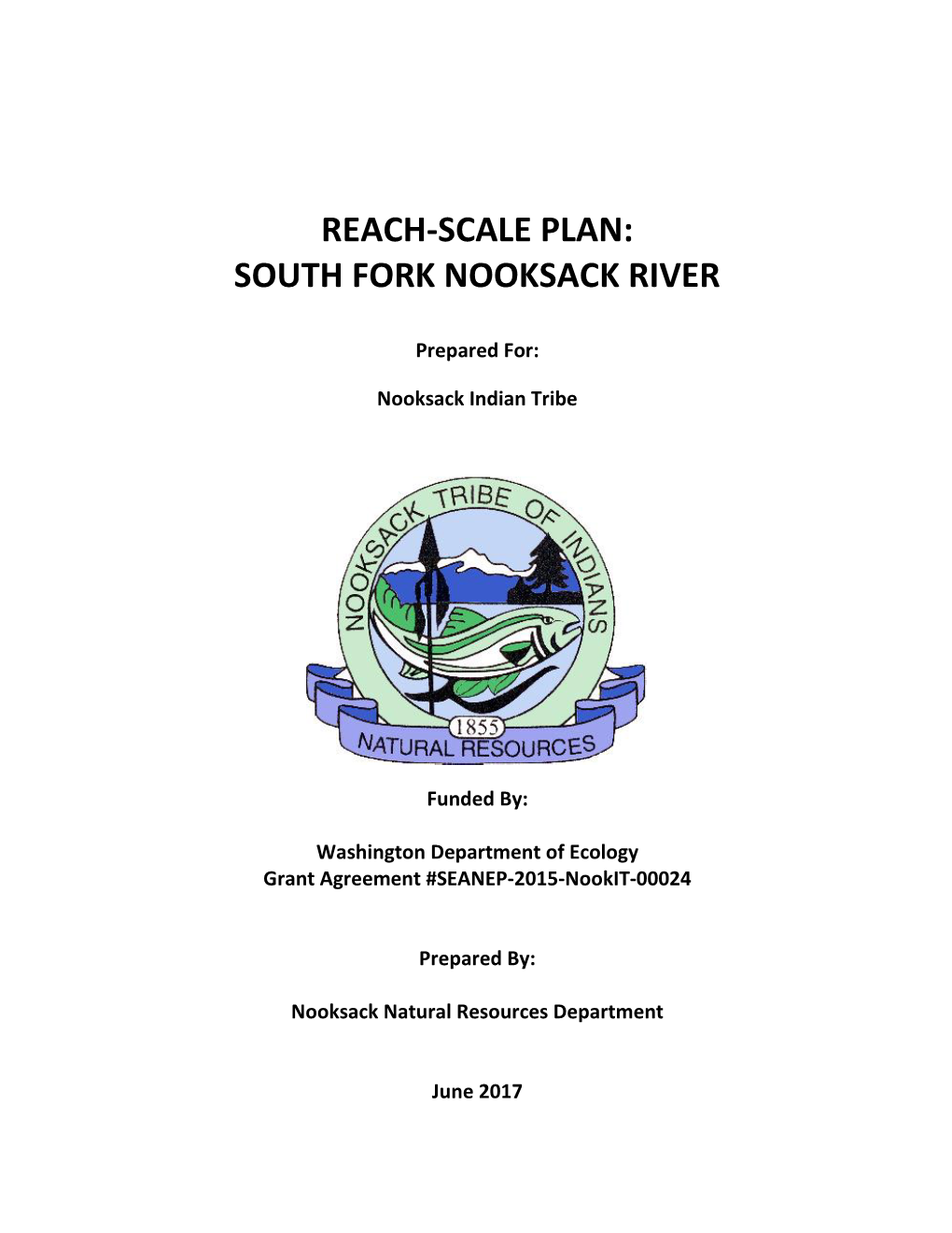 Reach-Scale Plan: South Fork Nooksack River