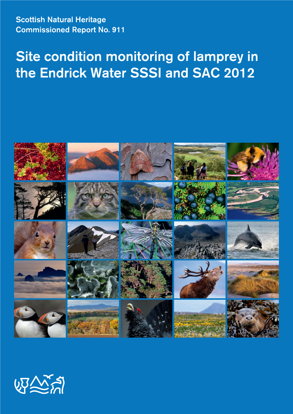 Site Condition Monitoring of Lamprey in the Endrick Water SSSI and SAC 2012