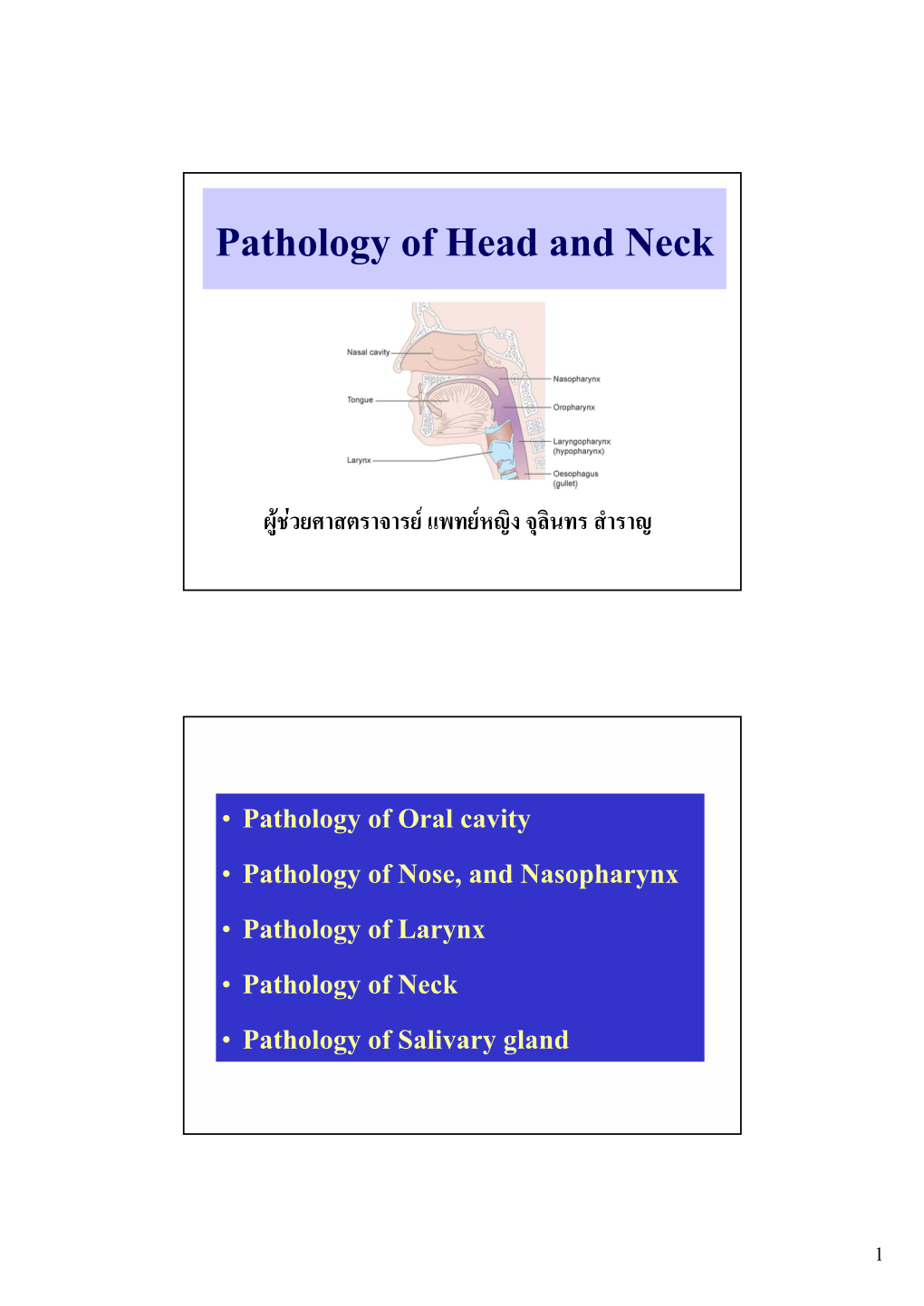 Herpes Simplex Virus Infections • Aphthous Ulcer ( Canker Sores ) • Oral Candidiasis ( Thrush ) • Glossitis • Xerostomia