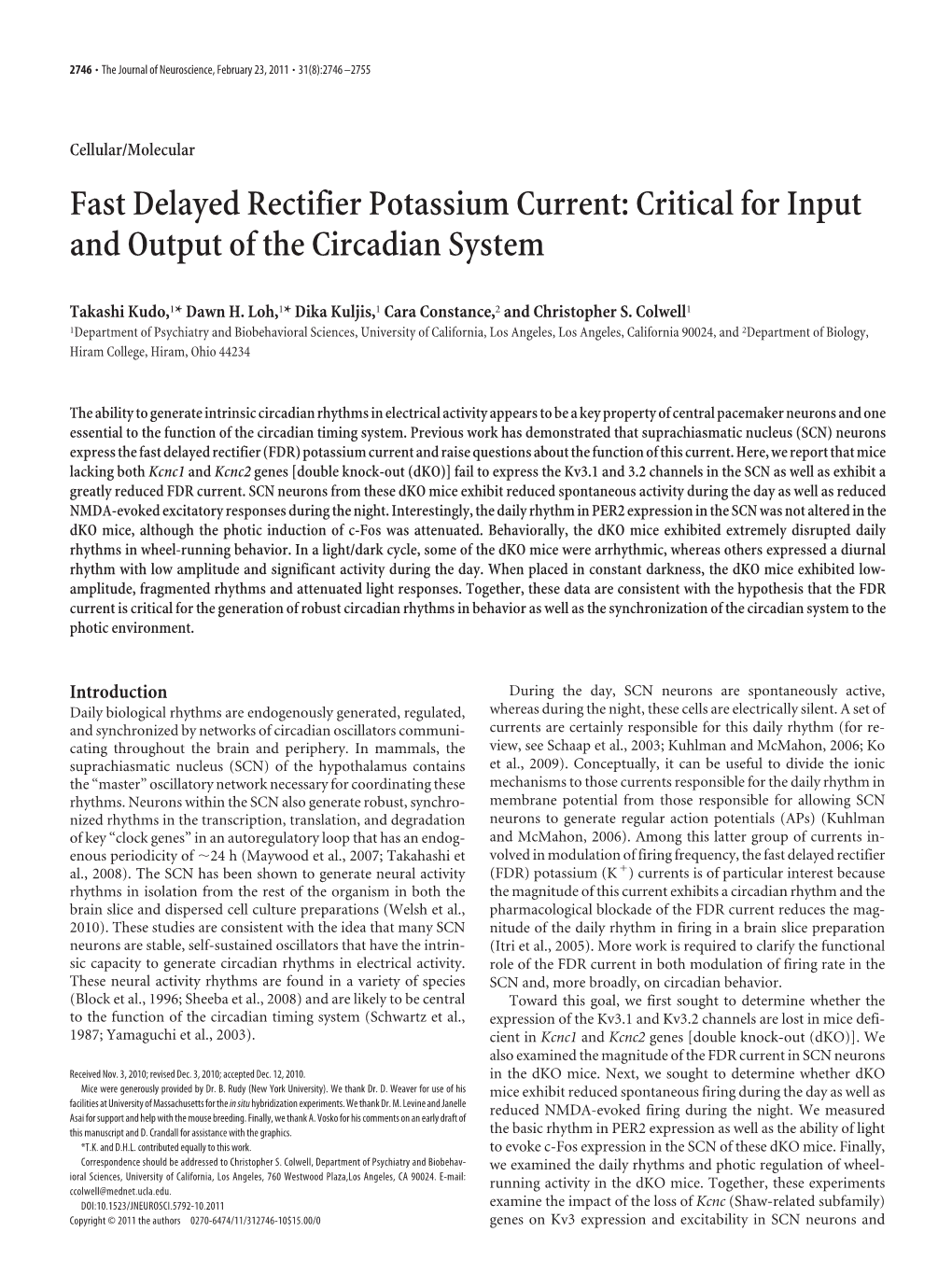 Critical for Input and Output of the Circadian System