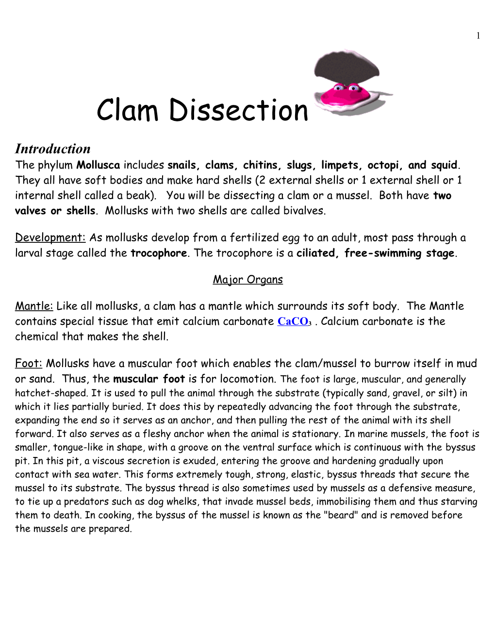 Clam Dissection s1