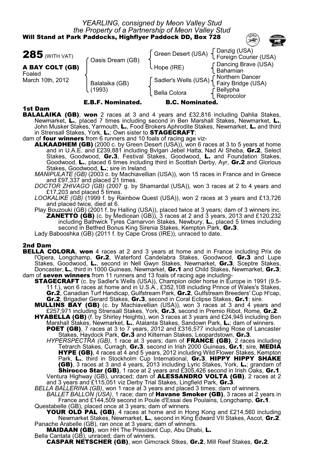 YEARLING, Consigned by Meon Valley Stud the Property of a Partnership of Meon Valley Stud Will Stand at Park Paddocks, Highflyer Paddock DD, Box 728