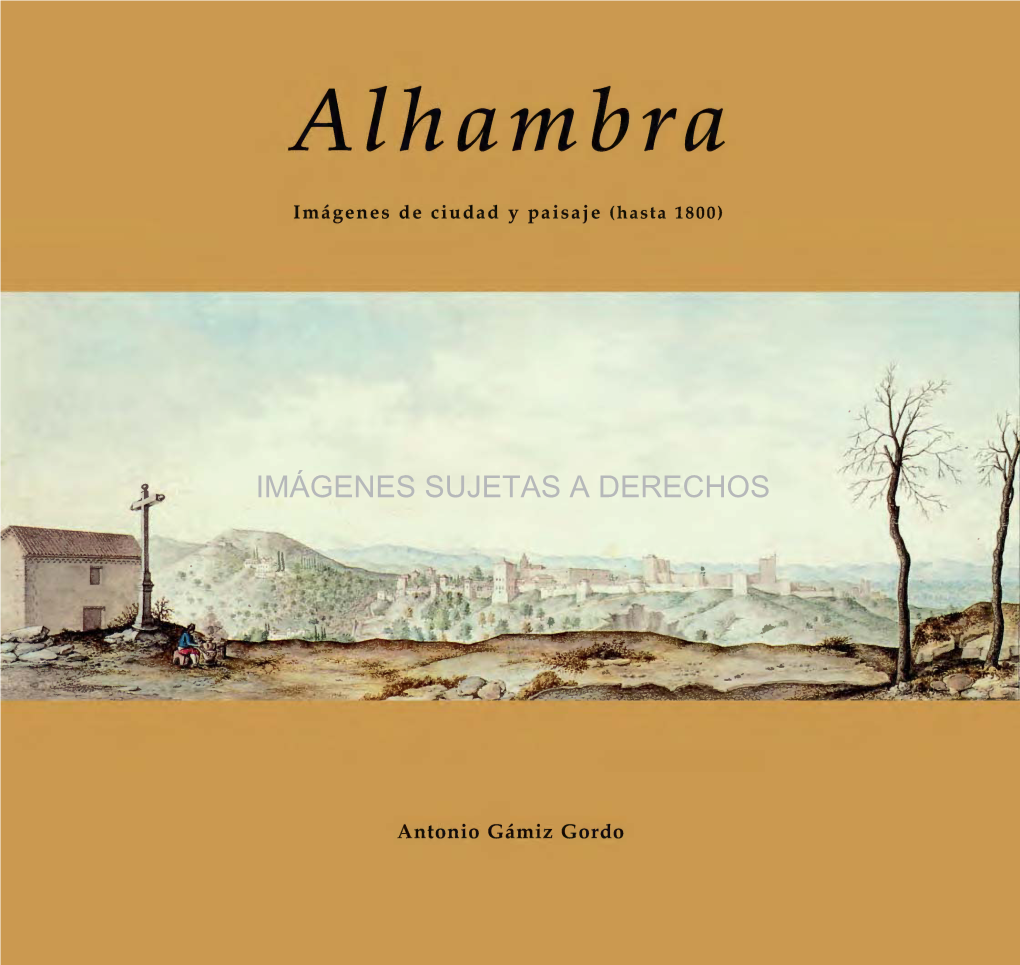 IMÁGENES SUJETAS a DERECHOS Alhambra Imágenes De Ciudad Y Paisaje (Hasta 1800)