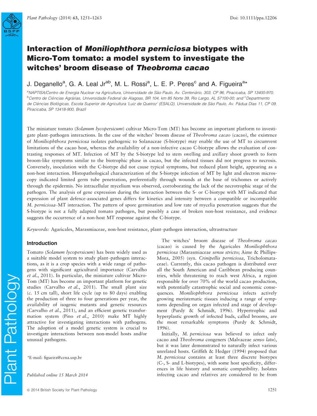 Interaction of Moniliophthora Perniciosa Biotypes with Micro-Tom Tomato: a Model System to Investigate the Witches’ Broom Disease of Theobroma Cacao