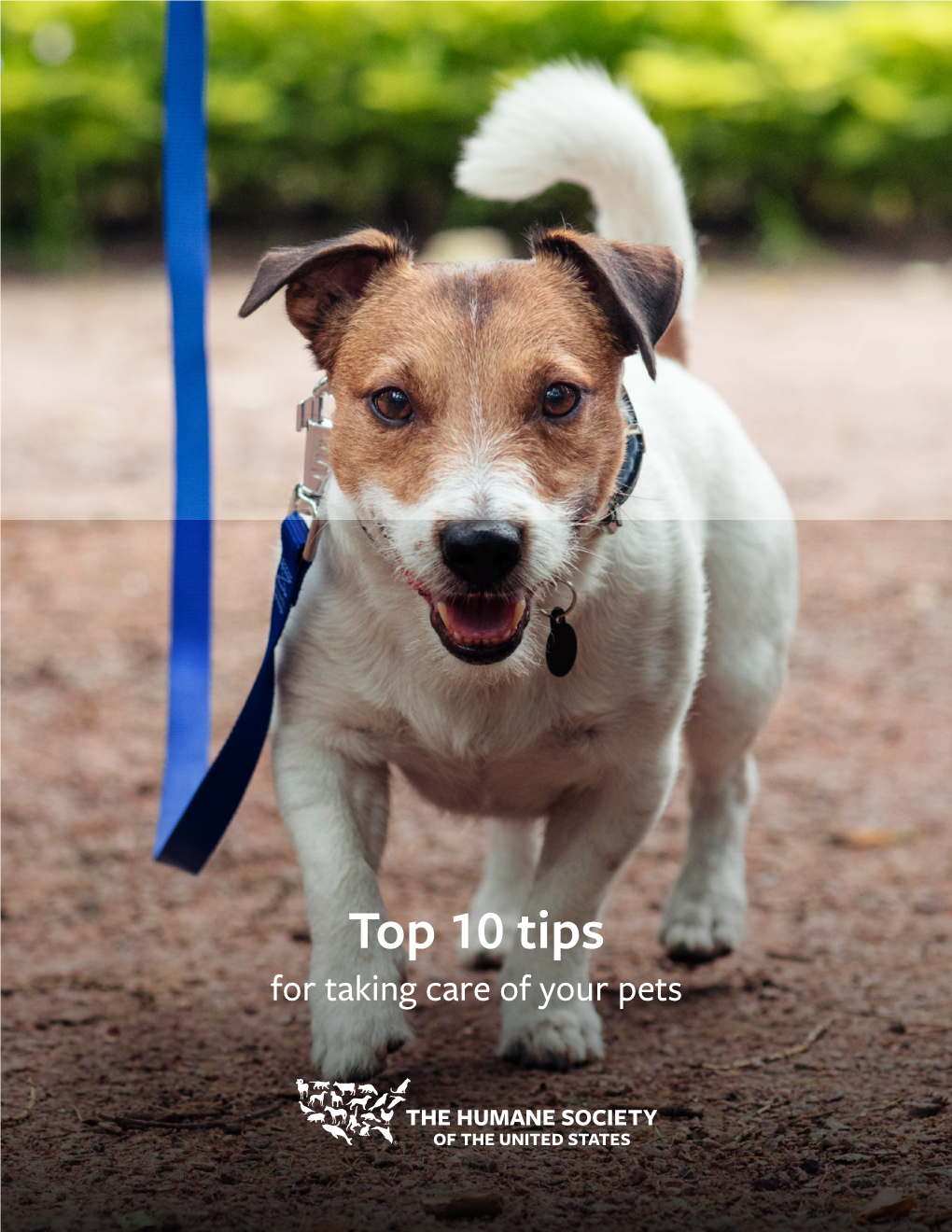 Top 10 Tips for Taking Care of Your Pets Copyright © 2020 by the Humane Society of the United States