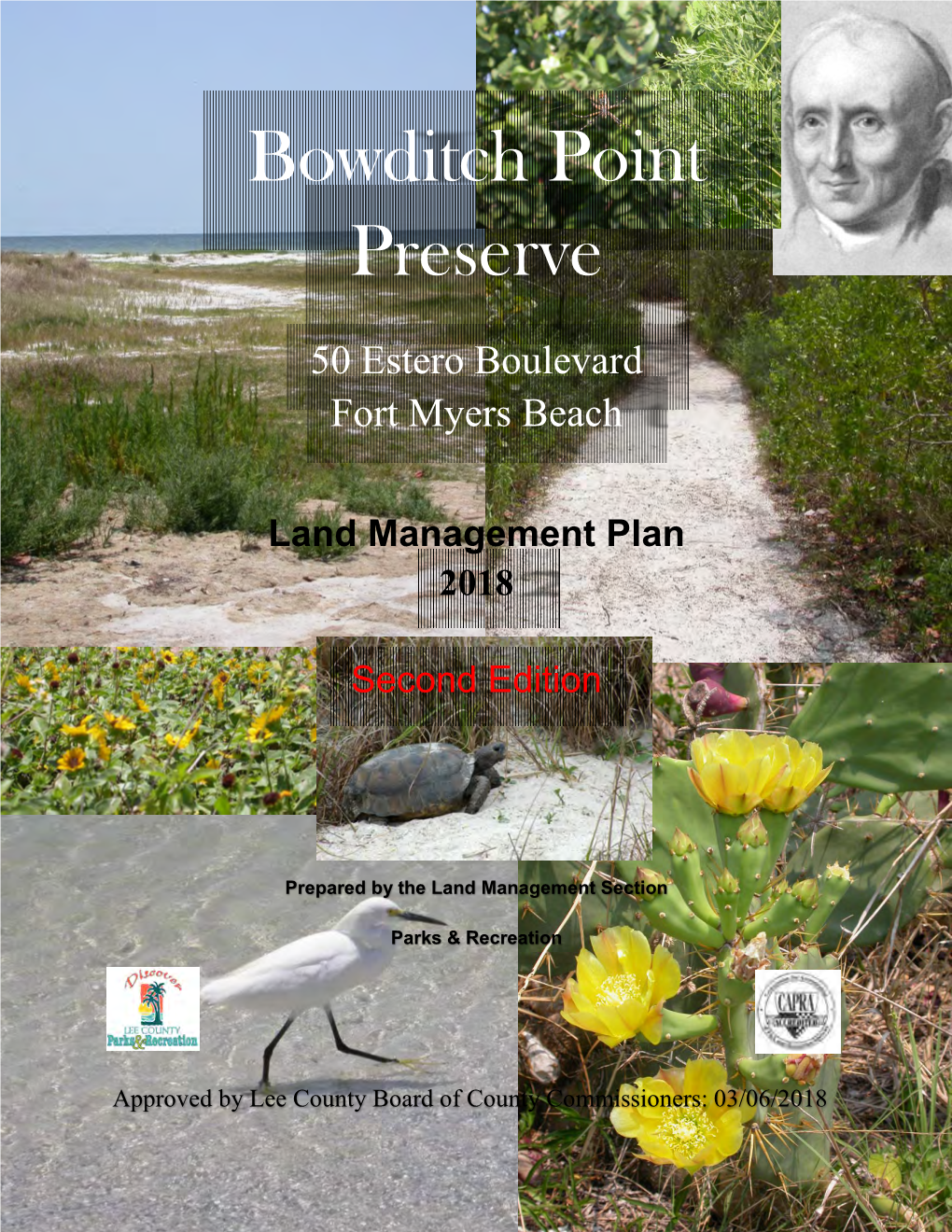 Bowditch Point Preserve