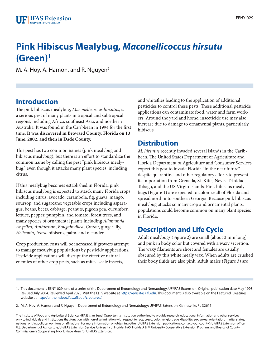 Pink Hibiscus Mealybug, Maconellicoccus Hirsutu (Green)1 M