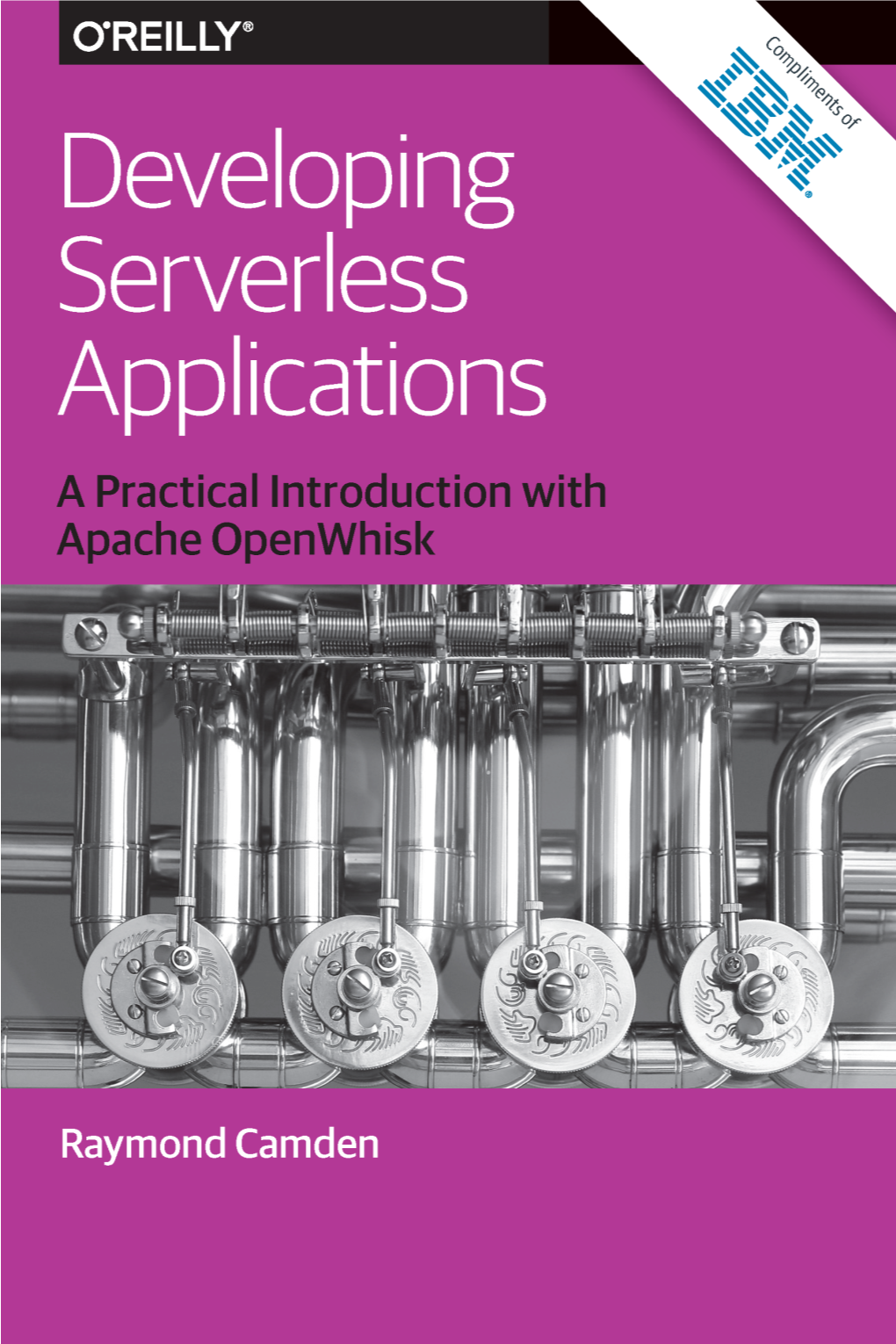 Developing Serverless Applications a Practical Introduction with Apache Openwhisk