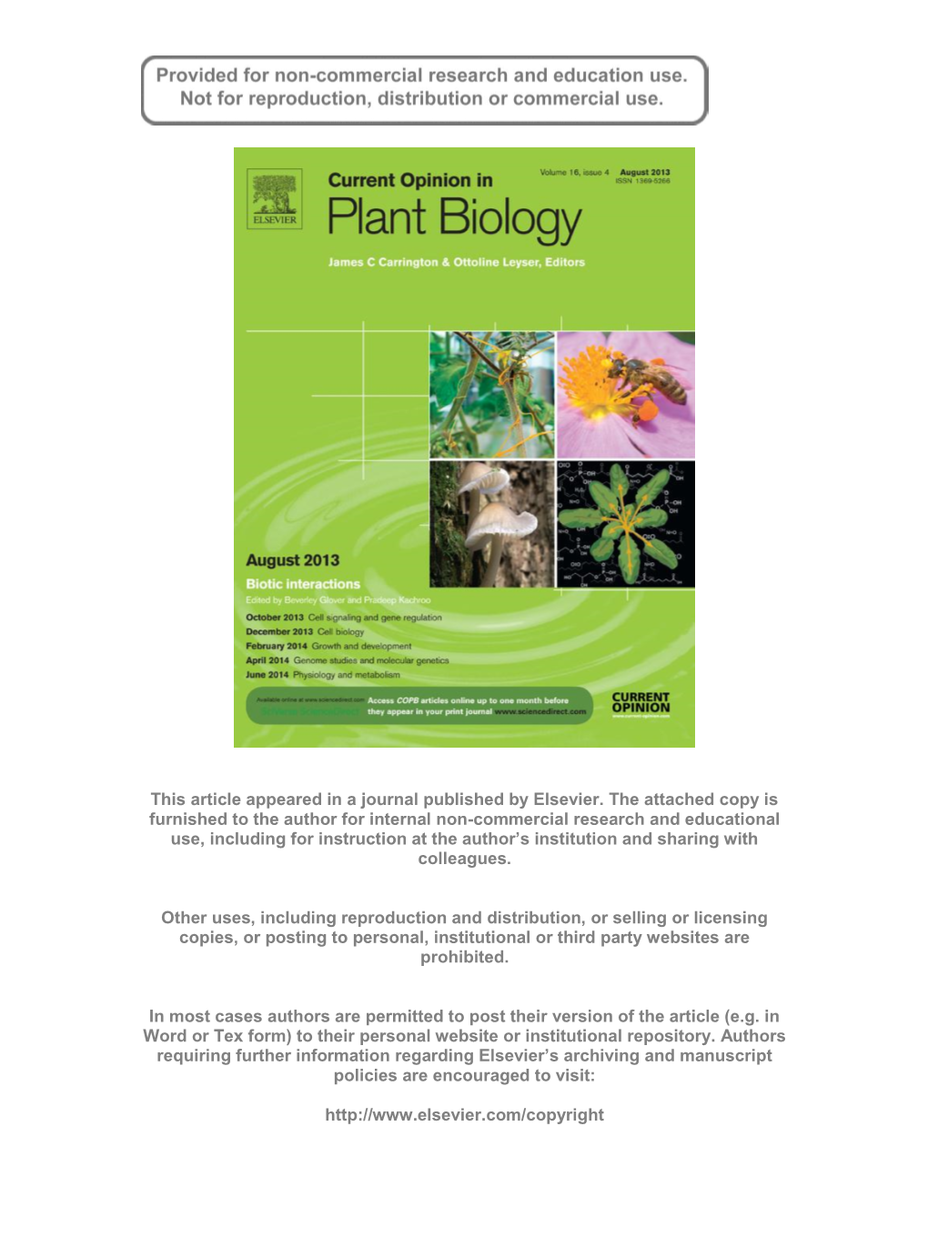A Paleobiologic Perspective on Plant–Insect Interactions