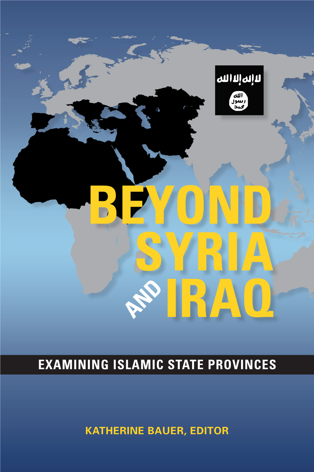 Examining Islamic State Provinces