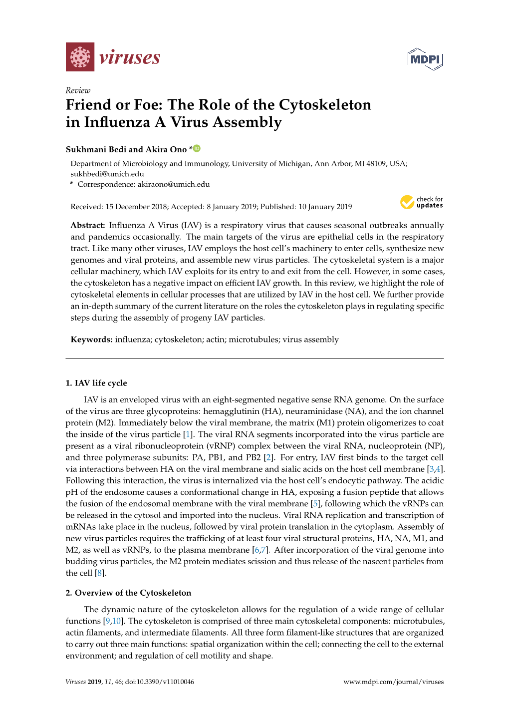 The Role of the Cytoskeleton in Influenza a Virus Assembly