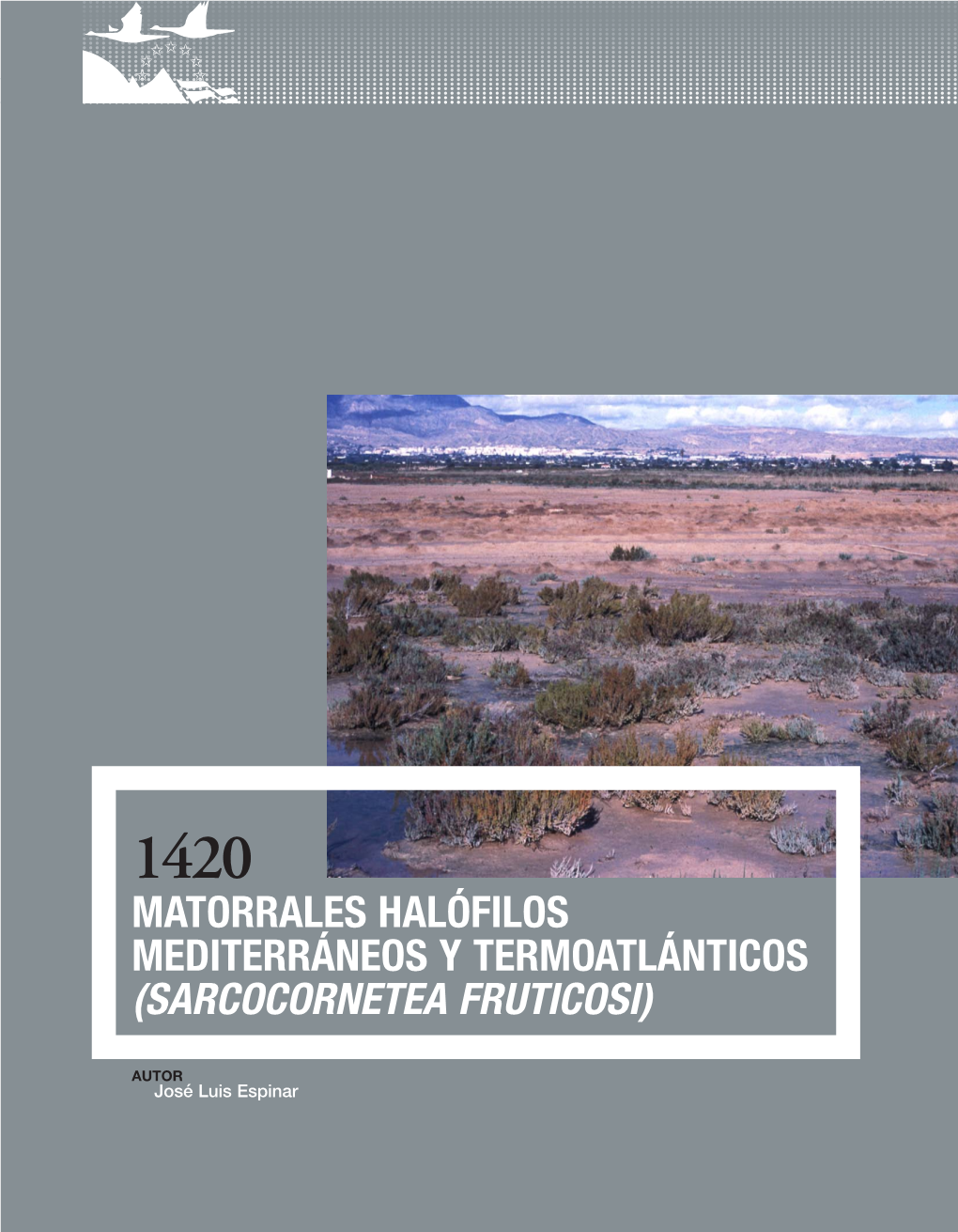Matorrales Halófilos Mediterráneos Y Termoatlánticos (Sarcocornetea Fruticosi)