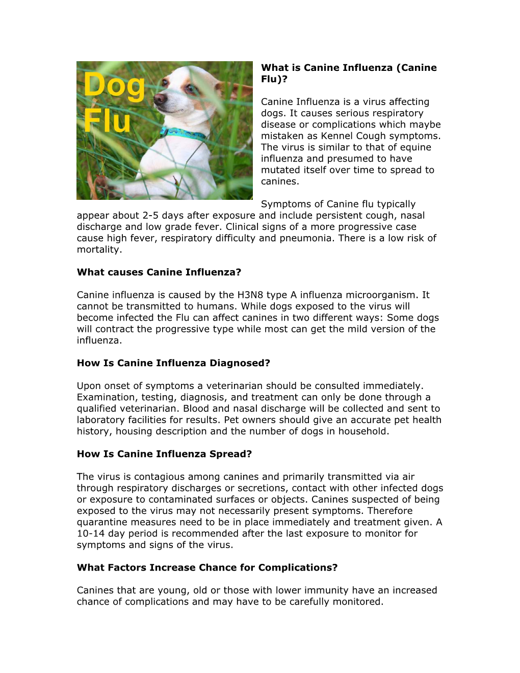What Is Canine Influenza (Canine Flu)?