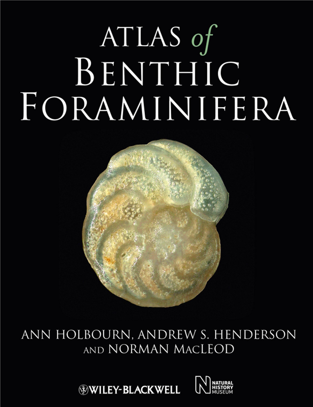 Atlas of Benthic Foraminifera Ann Holbourn, Andrew S. Henderson