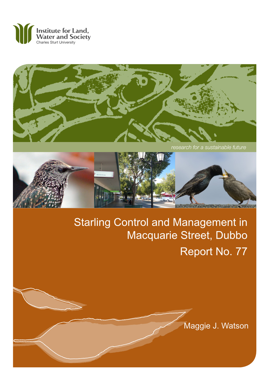 Starling Control and Management in Macquarie Street, Dubbo Report No