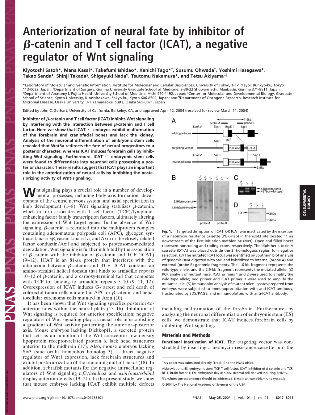 ICAT), a Negative Regulator of Wnt Signaling