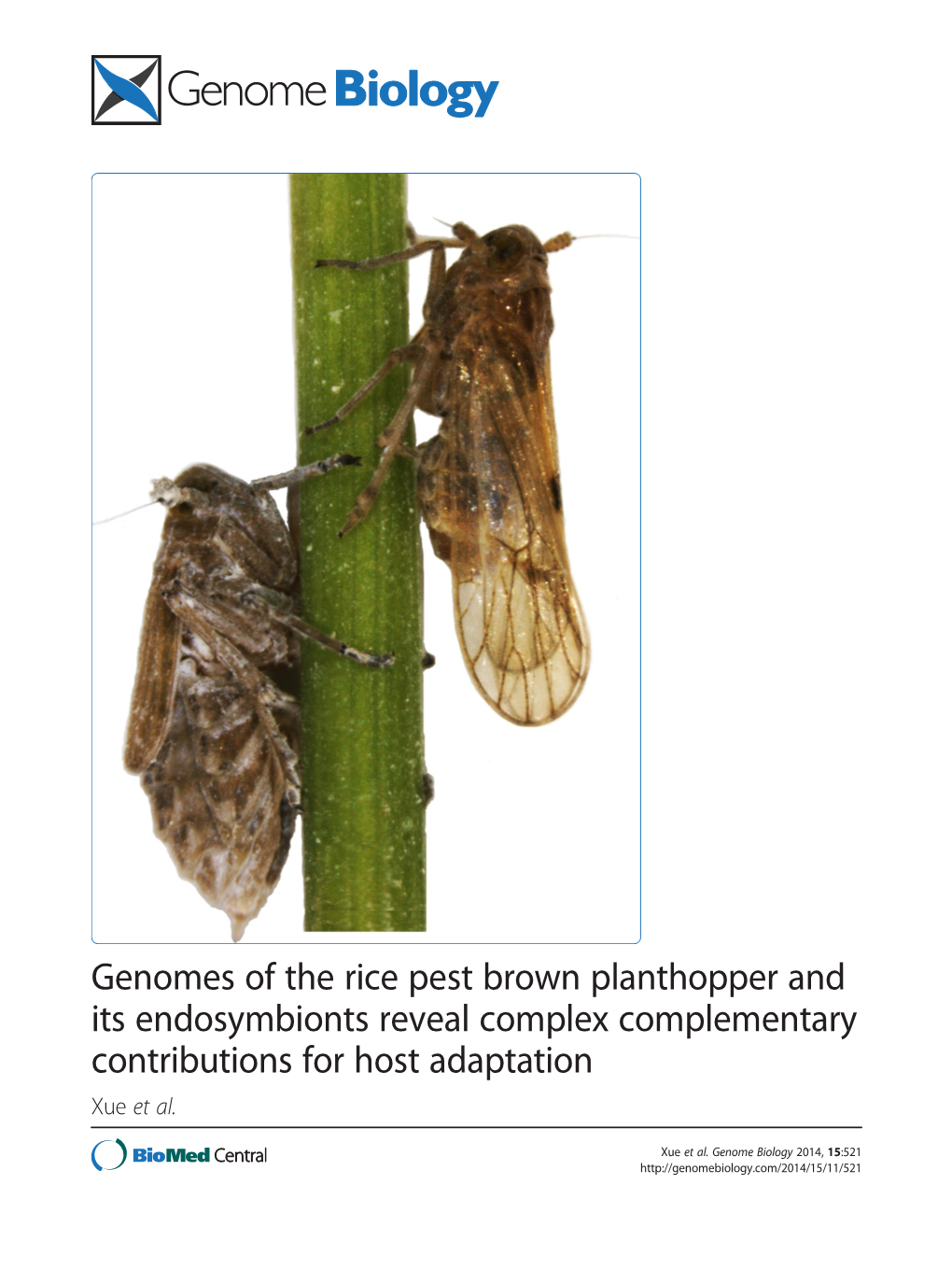 Genomes of the Rice Pest Brown Planthopper and Its Endosymbionts Reveal Complex Complementary Contributions for Host Adaptation Xue Et Al